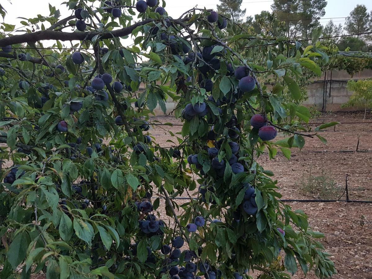 Finca Sa Cova De Mallorca Sencelles Exterior photo