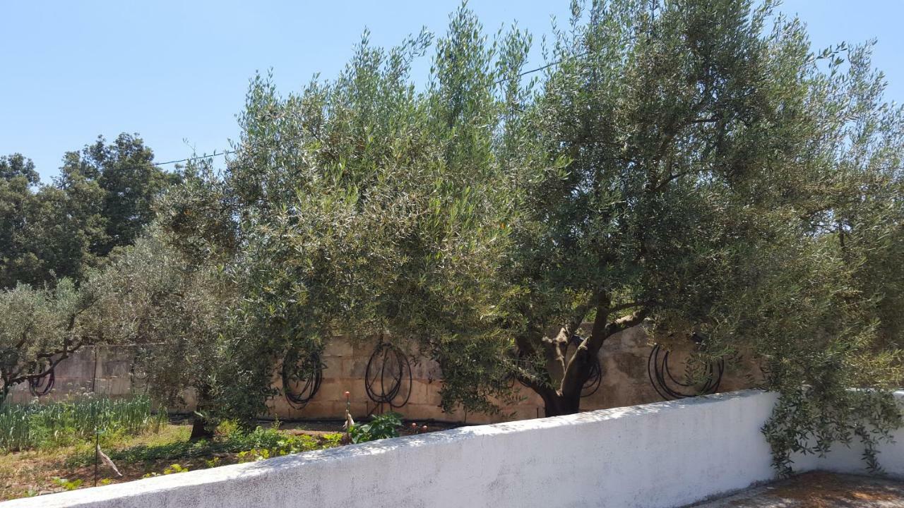 Finca Sa Cova De Mallorca Sencelles Exterior photo